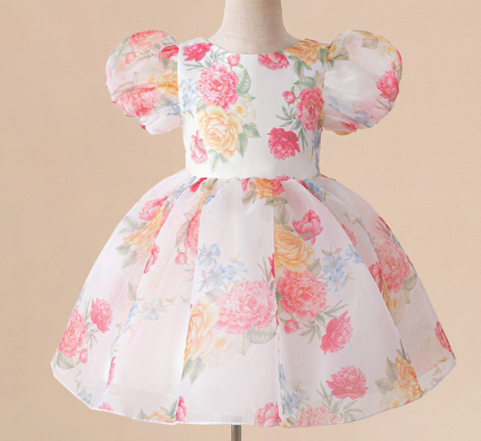 🌷Vestido de Festa Flora Amora